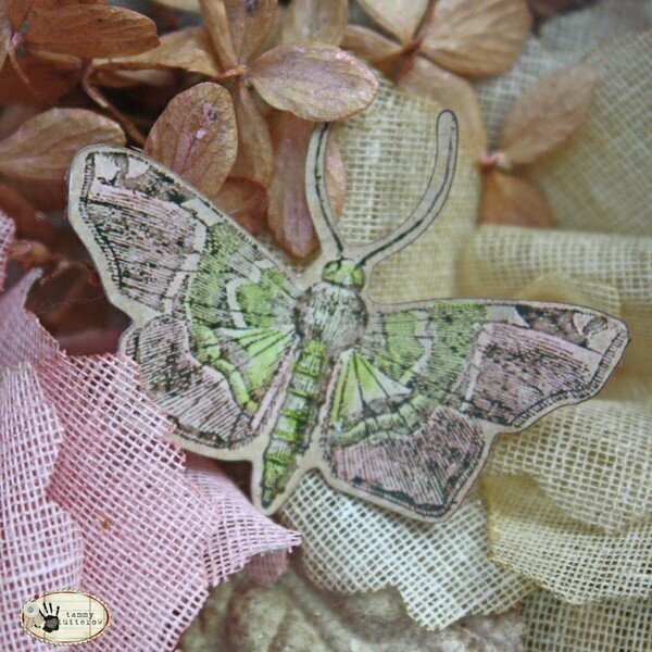 Tim Holtz Idea-ology: Butterfly Curio