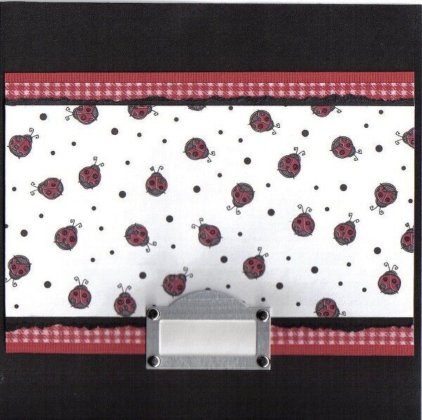 6x6 Ladybug Gift Album