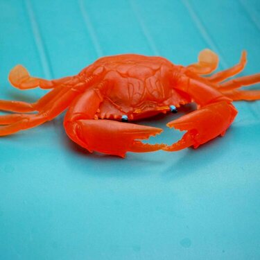 Crab