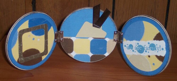 Altered Coasters