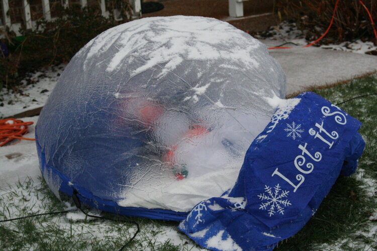 Dec 6 -- snow globe