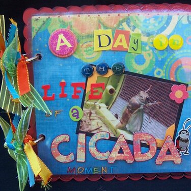 A Day in the Life of a Cicada - mini album