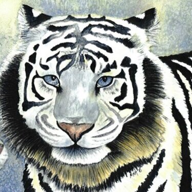White Tiger - Watercolor Painting