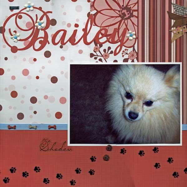 Bailey (Page 1)