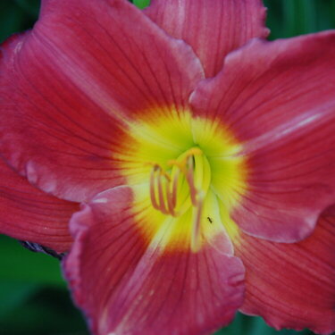 may 9 Photo~a~ Day
