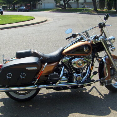 The new addition to our family....