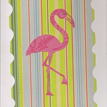 Some Flamingo Love....