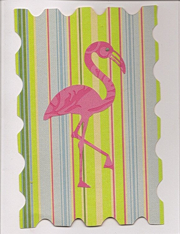 Some Flamingo Love....