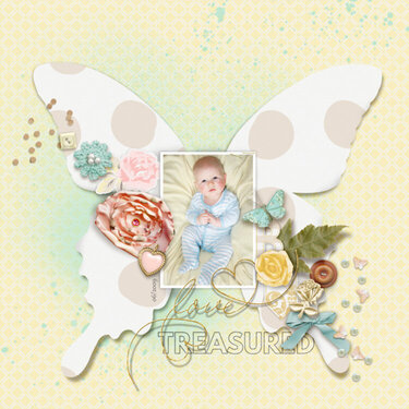 baby boy butterfly