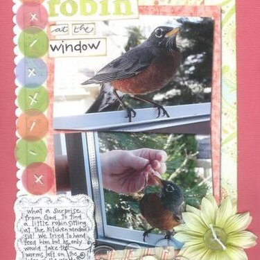 Robin at the Window - hybrid