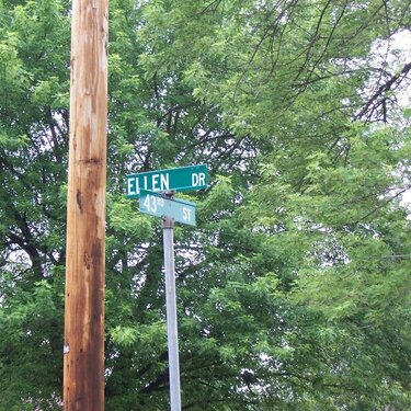 #12 A street that has a girl&#039;s name in it. 5 pts.*