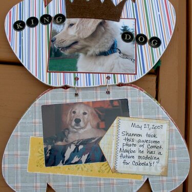 Comet: Family Dog Mini Book-pages 4 &amp; 5