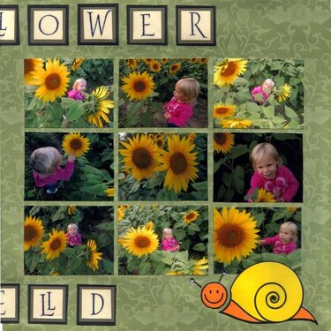 Sunflowers, 2nd page of layout