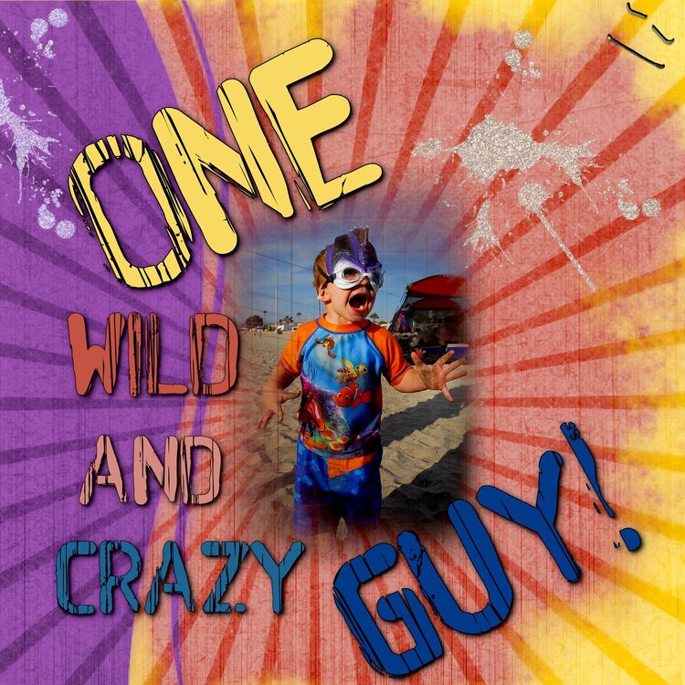 One Wild and Crazy Guy