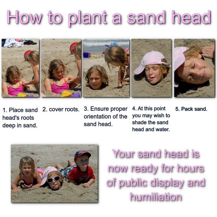 How to plant a sand head