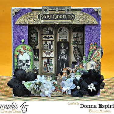 Rare oddities altered shadow box