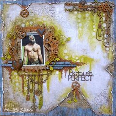 Picture Perfect **The Scrapbook Diaries Kit & Video**