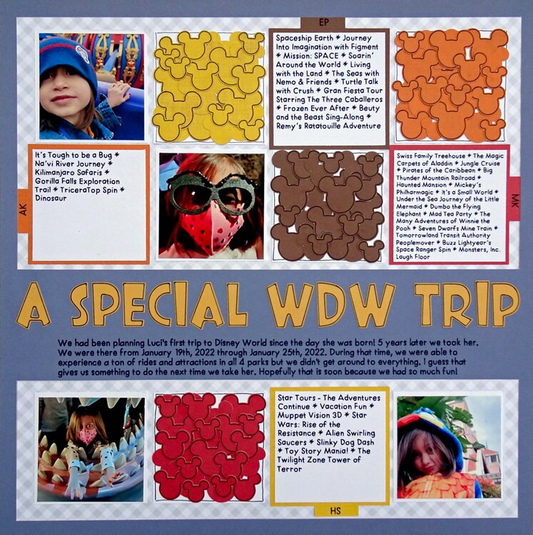A Special WDW Trip