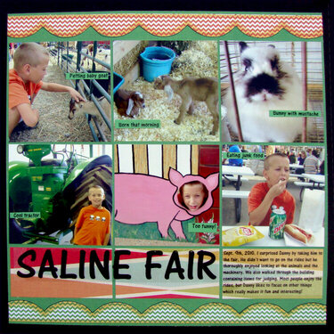 Saline Fair