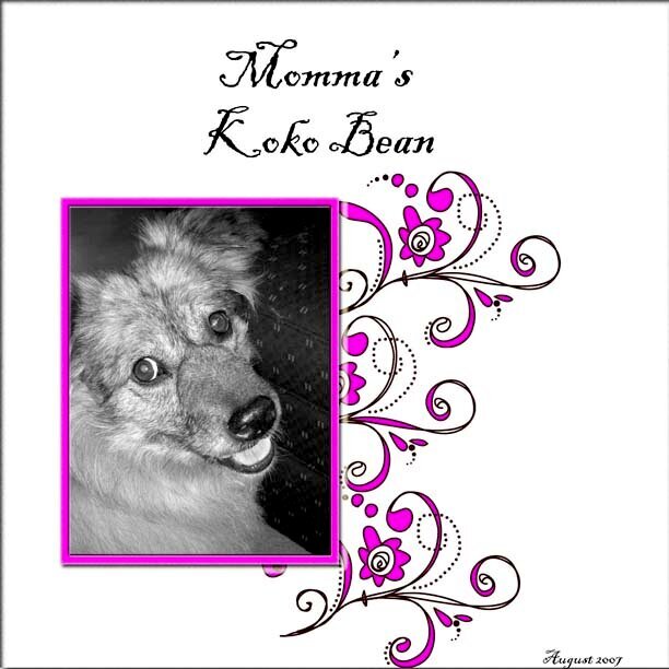 Momma&#039;&#039;s KoKo Bean