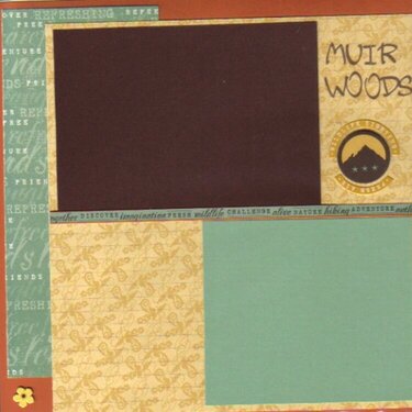 California Mini Gift 8X8 Album - Muir Woods