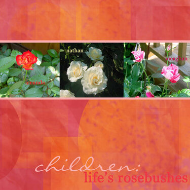 life&#039;s rosebushes