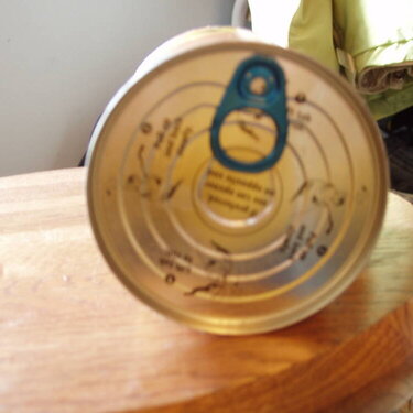 Tin Can Lid