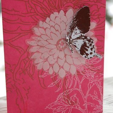 Butterfly/Flower card