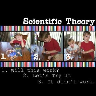 Scientific Theory 