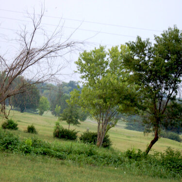 At the Carnton Plantation