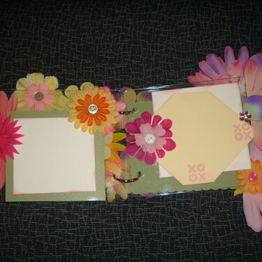 inside the flower acrylic album