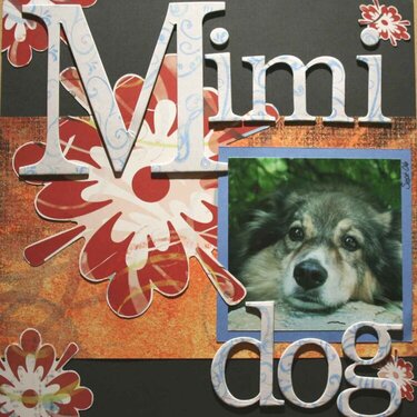 Mimi Dog