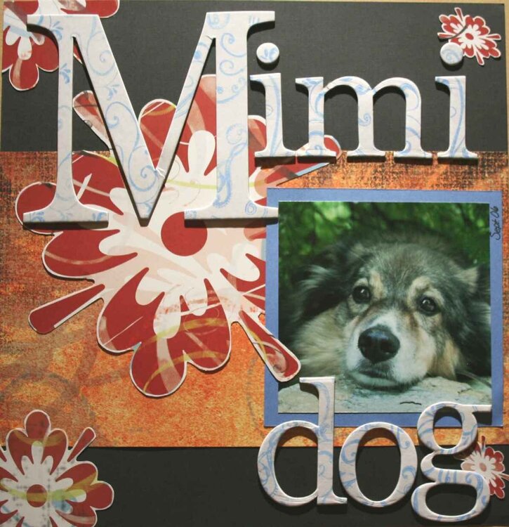 Mimi Dog