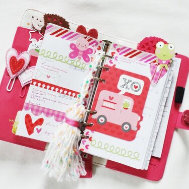 Dark Pink Color Crush Planner