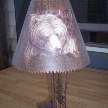 Picture of a Lampshade