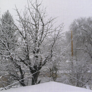View from my upstairs window