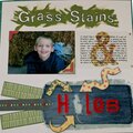 Grass Stains &amp; Holes