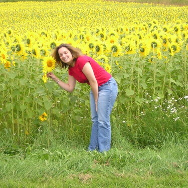 Sunflowers...my favorite!