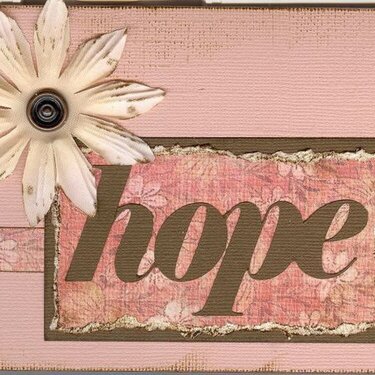 Hope-new MME