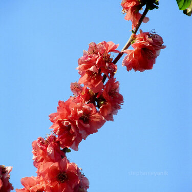 Against the sky