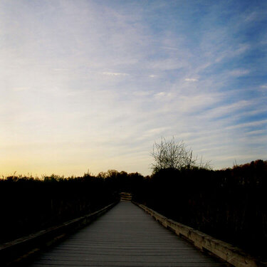 Sunset at the wetlands