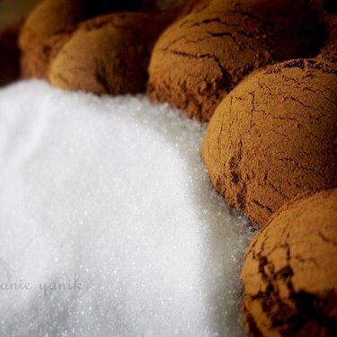 April POD #26 Cinnamon and sugar :)