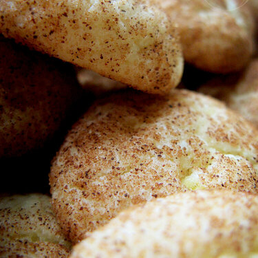 JFF Snickerdoodles