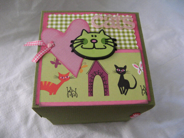 Cats Exploding box