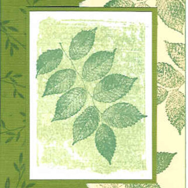 Green Note Card