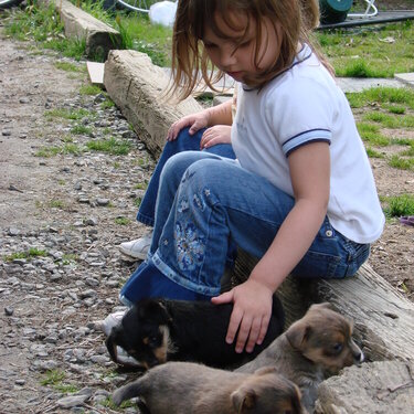 Maddy pets the puppies