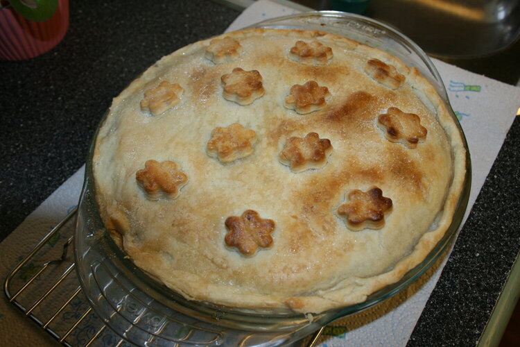 Nov #15  My first homemade apple pie