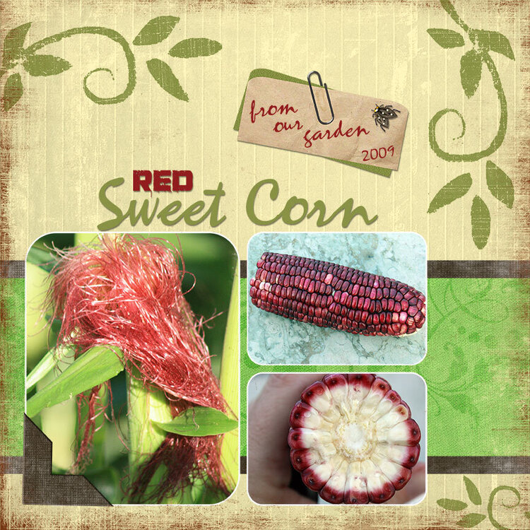 Red Sweet Corn