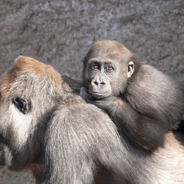 mommy and me