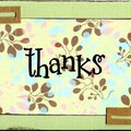 Thanks by Cammi Higley